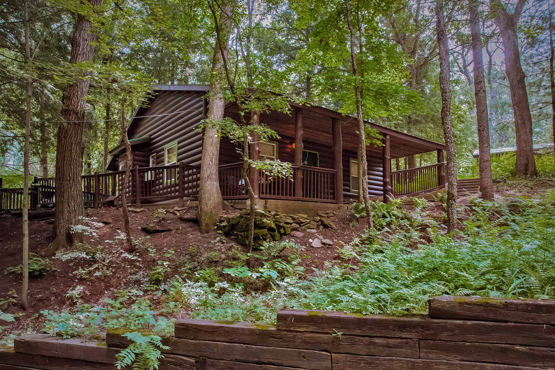 A secluded dark wood cabin with a covered porch, nestled amongst lush green trees and foliage on a gentle slope.