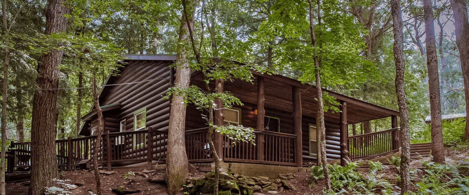 A cozy log cabin nestled among tall trees in a lush forest.