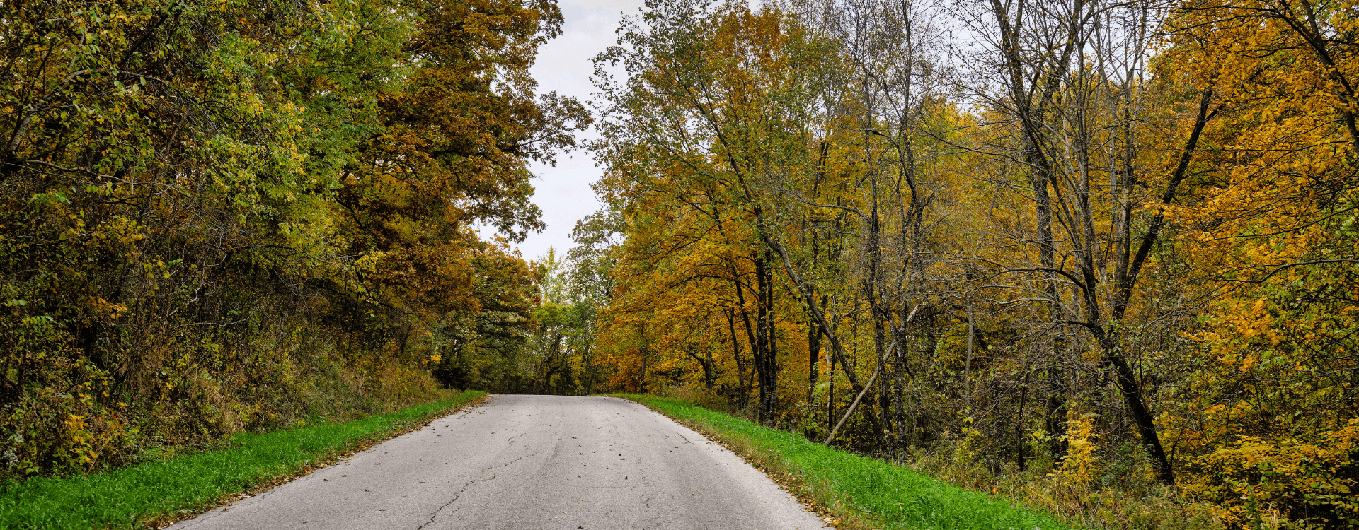 A winding road surrounded by trees with vibrant autumn foliage.